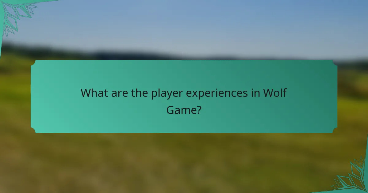 What are the player experiences in Wolf Game?
