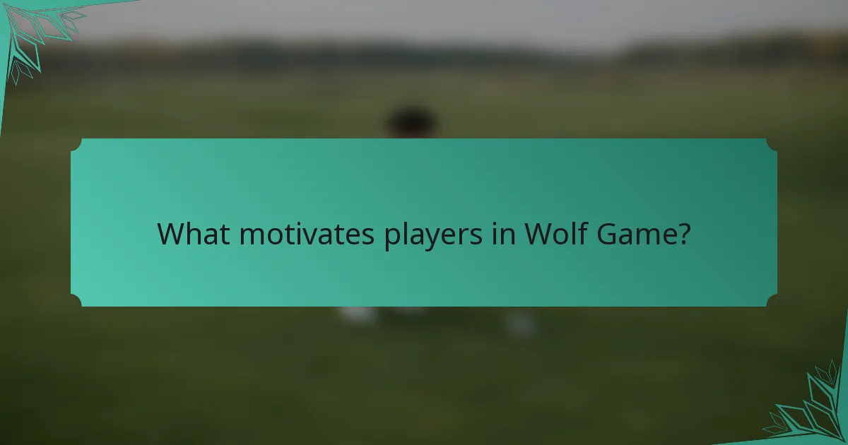 What motivates players in Wolf Game?